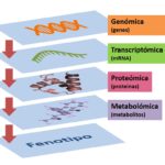 Diferencia entre metabolómica y metabonómica