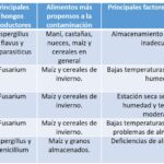 Diferencia entre micotoxinas y aflatoxinas
