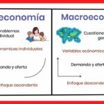Diferencia entre micro y macro
