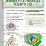 Diferencia entre microbiología y parasitología