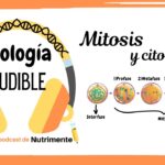 Diferencia entre mitosis y citocinesis