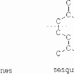 Diferencia entre monoterpenos y sesquiterpenos