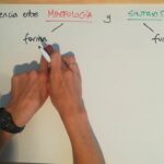 Diferencia entre morfología y sintaxis