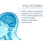 Diferencia entre MSH y melatonina