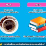 Diferencia entre Much y Many