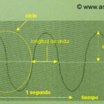 Diferencia entre punto y eco