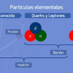 Diferencia entre quarks y leptones
