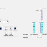 Diferencia entre rasgo y carácter en genética