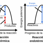 Diferencia entre reacciones endotérmicas y exotérmicas