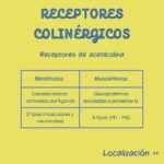 Diferencia entre receptores nicotínicos y muscarínicos