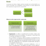 Diferencia entre regeneración y regeneración verdadera