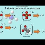 Diferencia entre un ion poliatómico y un compuesto iónico