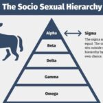 Diferencia entre un macho alfa y uno sigma