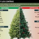 Diferencia entre un pino y un árbol de Navidad