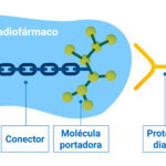 Diferencia entre un radionúclido y un radiofármaco