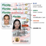 Diferencia entre una licencia de aprendizaje y una licencia de conducir