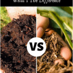 Diferencia entre una lombricultura y un compost