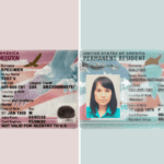 Diferencia entre una visa de trabajo y una tarjeta verde
