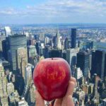 ¿Por qué a Nueva York se le llama Gran Manzana?