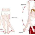 Diferencia entre abducción y aducción Ciencia
