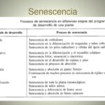 Diferencia entre abscisión y senescencia Ciencia