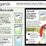 Diferencia entre ácido acético y ácido cítrico Ciencia