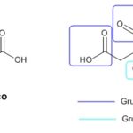 Diferencia entre ácido ascórbico y ácido cítrico Ciencia