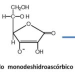 Diferencia entre ácido ascórbico y ascorbato de sodio Ciencia