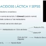 Diferencia entre acidosis láctica y cetoacidosis Ciencia