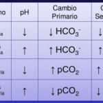Diferencia entre acidosis metabólica y respiratoria Ciencia