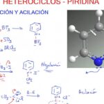 Diferencia entre acilación y acetilación Ciencia
