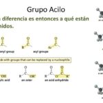 Diferencia entre acilo y acetilo Ciencia