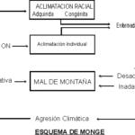 Diferencia entre aclimatación y adaptación Ciencia