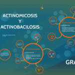Diferencia entre actinomicosis y actinobacilosis Ciencia