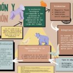 Diferencia entre adaptación y evolución Ciencia