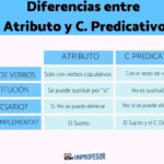 Diferencia entre adjetivos atributivos y predicativos Idiomas