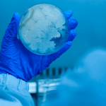 Diferencia entre agar y agar noble