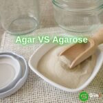 Diferencia entre agar y agarosa