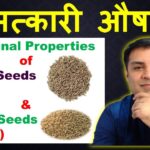 Diferencia entre Ajwain y Jeera Estilo de vida