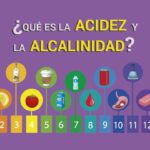 Diferencia entre álcali y alcalino