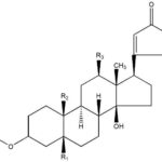 Diferencia entre alcaloide y glucósido