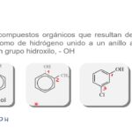 Diferencia entre alcohol y fenol Ciencia