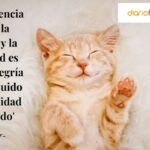 Diferencia entre alegría y felicidad General