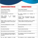 Diferencia entre arqueobacterias y eubacterias