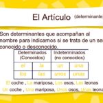 Diferencia entre artículos y determinantes