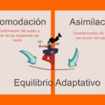 Diferencia entre asimilación y acomodación