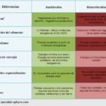 Diferencia entre autótrofos y heterótrofos