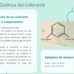 Diferencia entre auxocromo y cromóforo