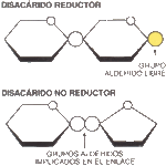 Diferencia entre azúcar reductor y no reductor