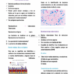 Diferencia entre bacterias acidorresistentes y no acidorresistentes